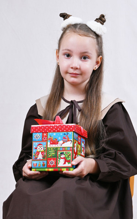 Сладкий новогодний подарок "Декор" 650гр