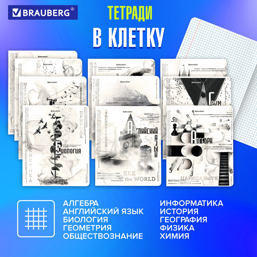 Тетради предметные комплект 12 ПРЕДМЕТОВ 48 л. матовая ламинация BRAUBERG "BLACK&WHITE" (2 штуки в упаковке)