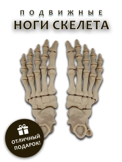 Ноги скелета