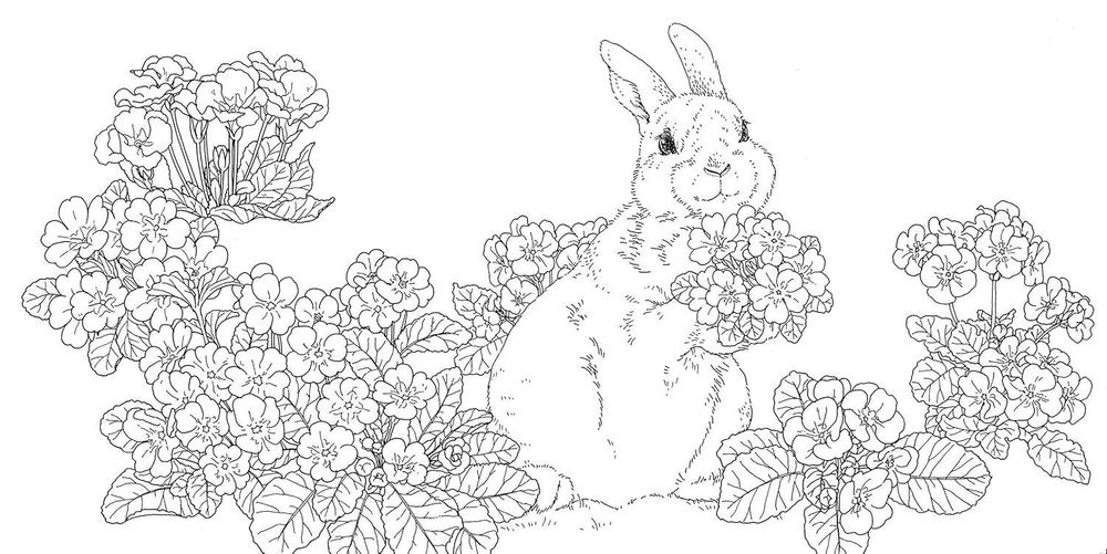 Gifts from animals Birth Moon Flower. Coloring Book