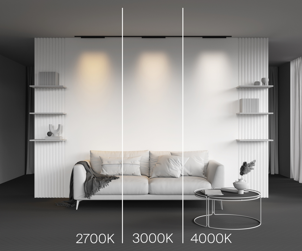 Магнитный трековый светильник Maytoni LEVITY Points TR193-1-20W4K-M-B