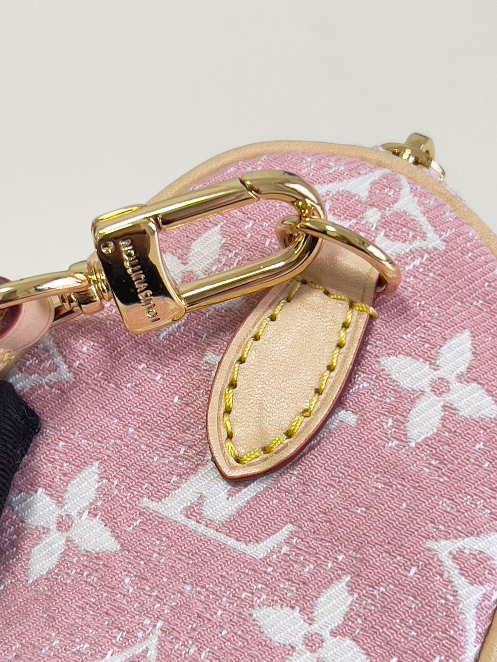 Louis Vuitton Nano Speedy