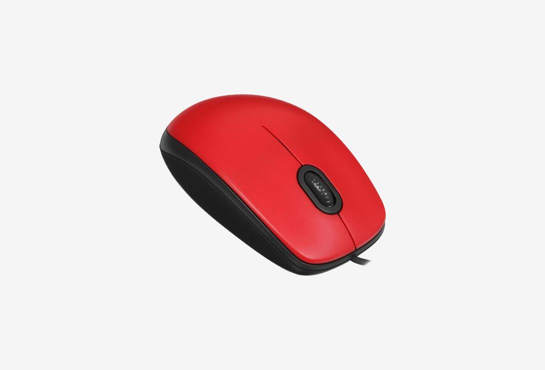 910-005501_0226325101229