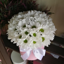 Ромашки в шляпной коробке