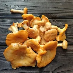 Лисички свежие лесные / 500 гр Лисички свежие лесные / 500 гр