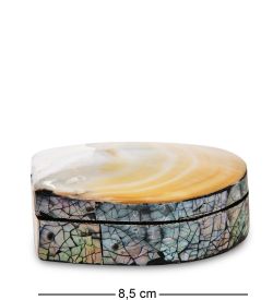 Decor and Gift 54-037 Декоративная шкатулка «Ракушка»