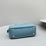 Miu Miu Arcadie Leather Bag 22 cm