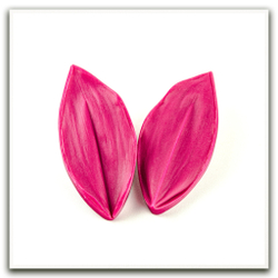 Лист ландыша