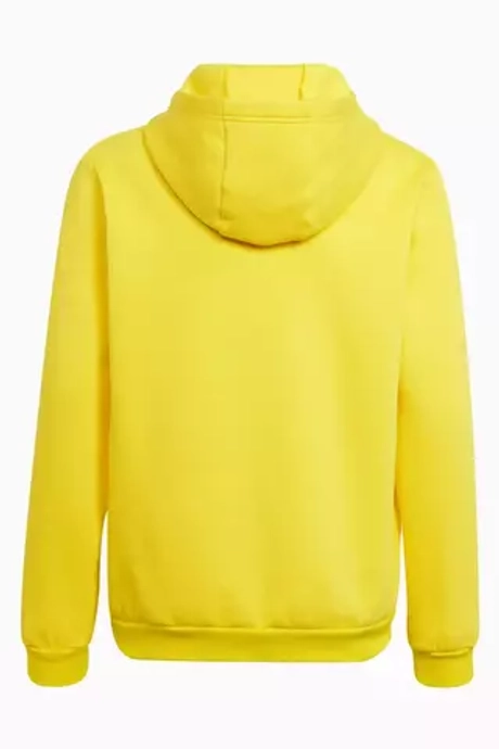 Кофта adidas Entrada 22 Junior