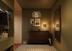 Светильник подвесной Maytoni Kirigami MOD409PL-01W