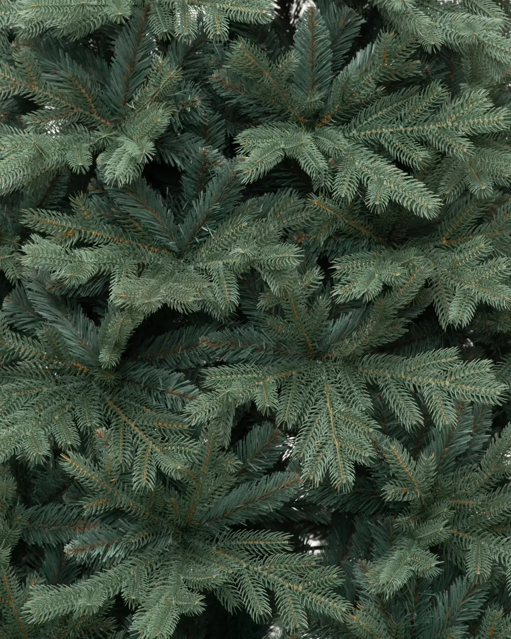 Ель голубая «Кремлевская» (Литая+пвх) 270 см / 2.7 м