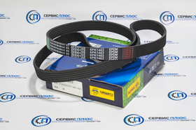 Ремень генератора 6РК1462 WP13 612600062532 Qinyan