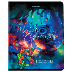 Тетради предметные, КОМПЛЕКТ 12 ПРЕДМЕТОВ, "DREAM WORLD", 48 л., глянцевый УФ-лак, BRAUBERG, 404842