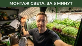 Фитосветильник полного спектра: когда выбирать его, а не лампу