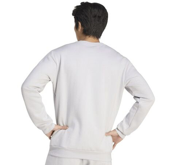 Мужская теннисная кофта Adidas Entrada 26 Sweat - grey/white