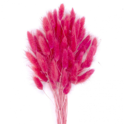 Сухоцветы ЛАГУРУС 65см 34гр ЯРКИЙ