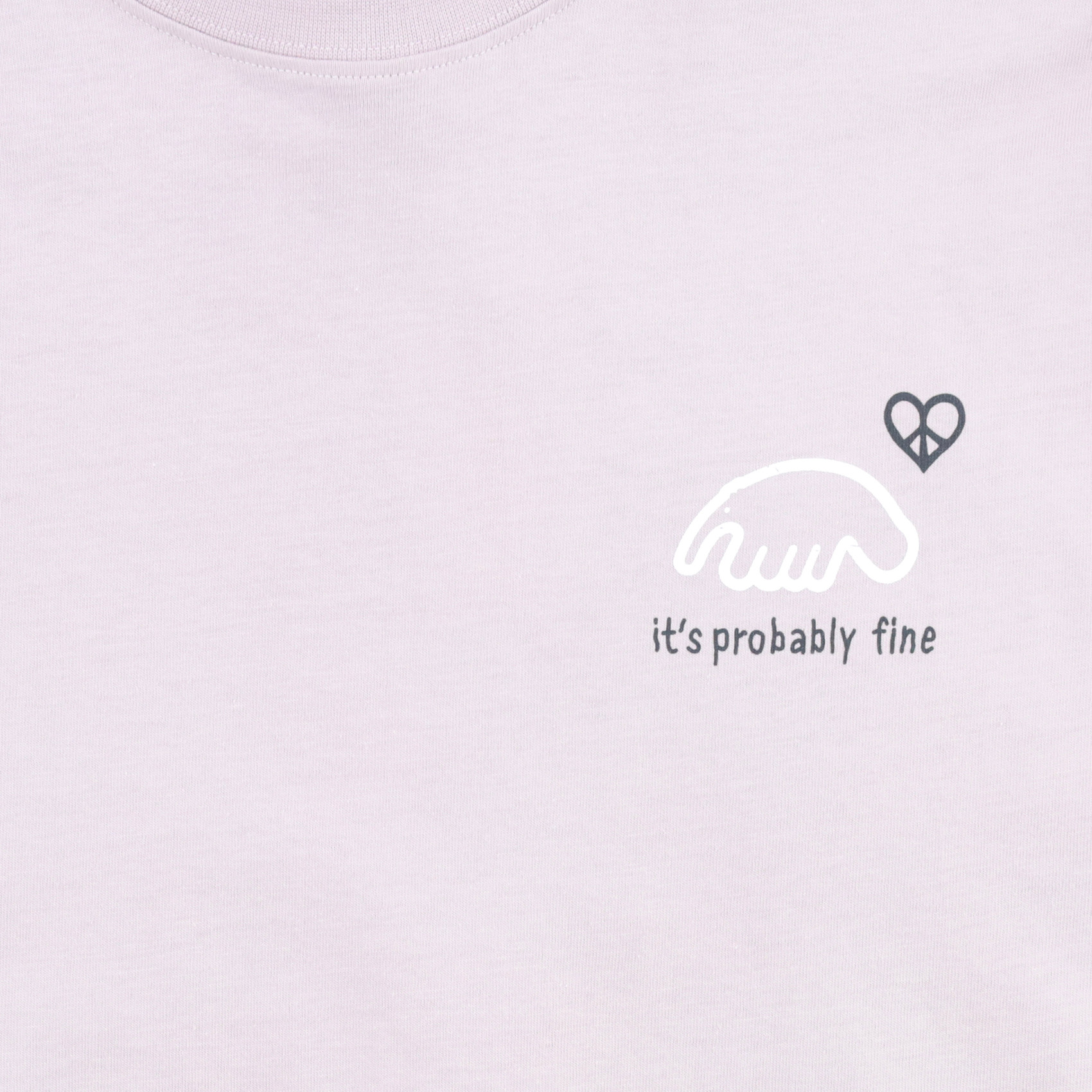 Футболка Anteater Tee 405 Probably (grey) артикул: - купить в магазине Дайс