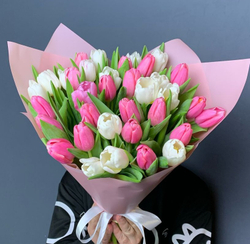 Тюльпаны Микс в упаковке