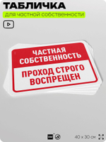 Табличка для частной территории "Частная собственность, проход строго воспрещен", на дом, для участка, организаций, предупреждающая, 40х30 см, Silver Plane x Айдентика Технолоджи