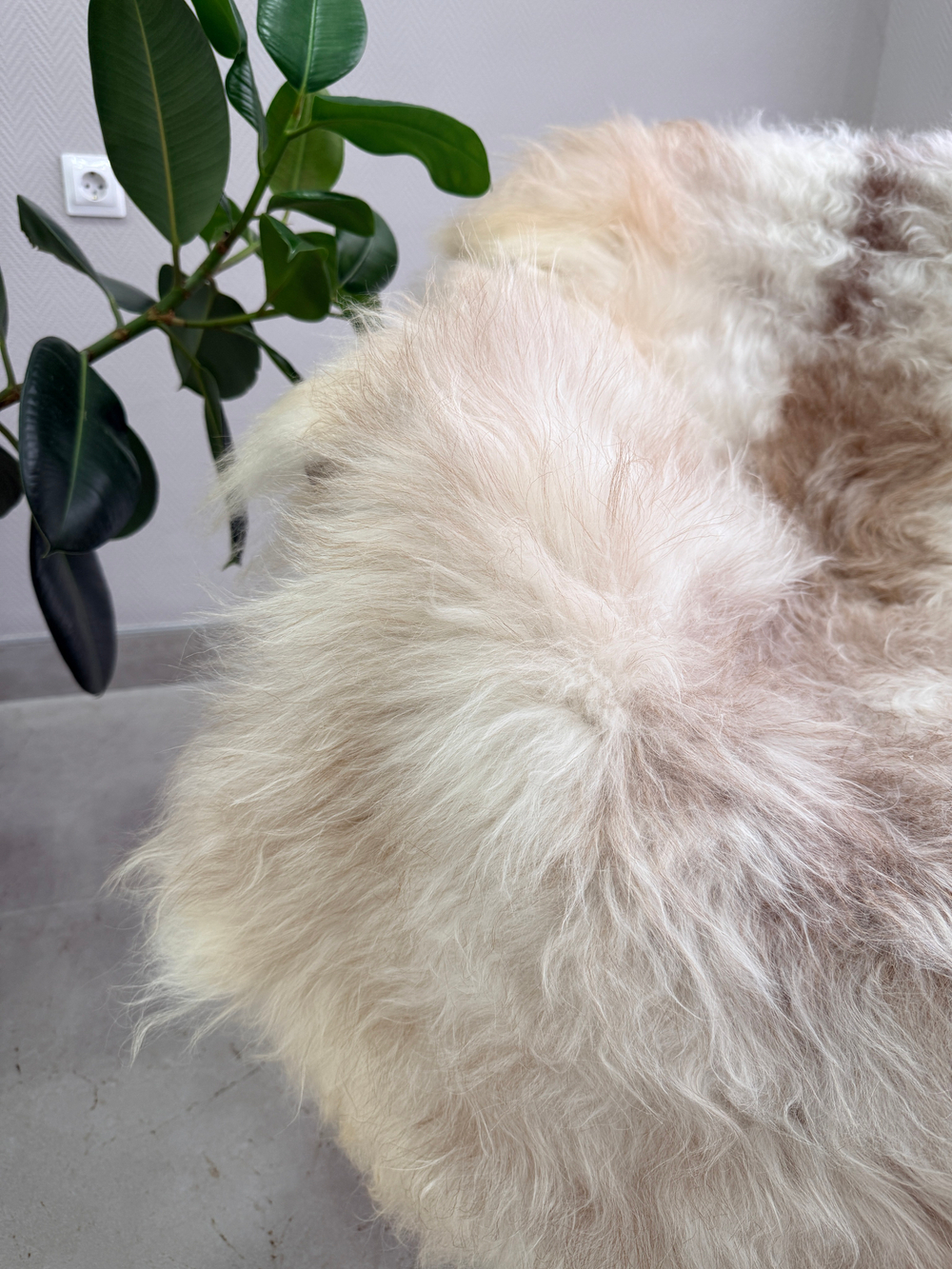 Шкура коврик меховой прикроватный овчина, 120х65 см.