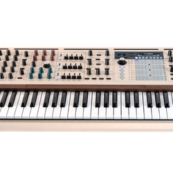 Arturia Polybrute 12