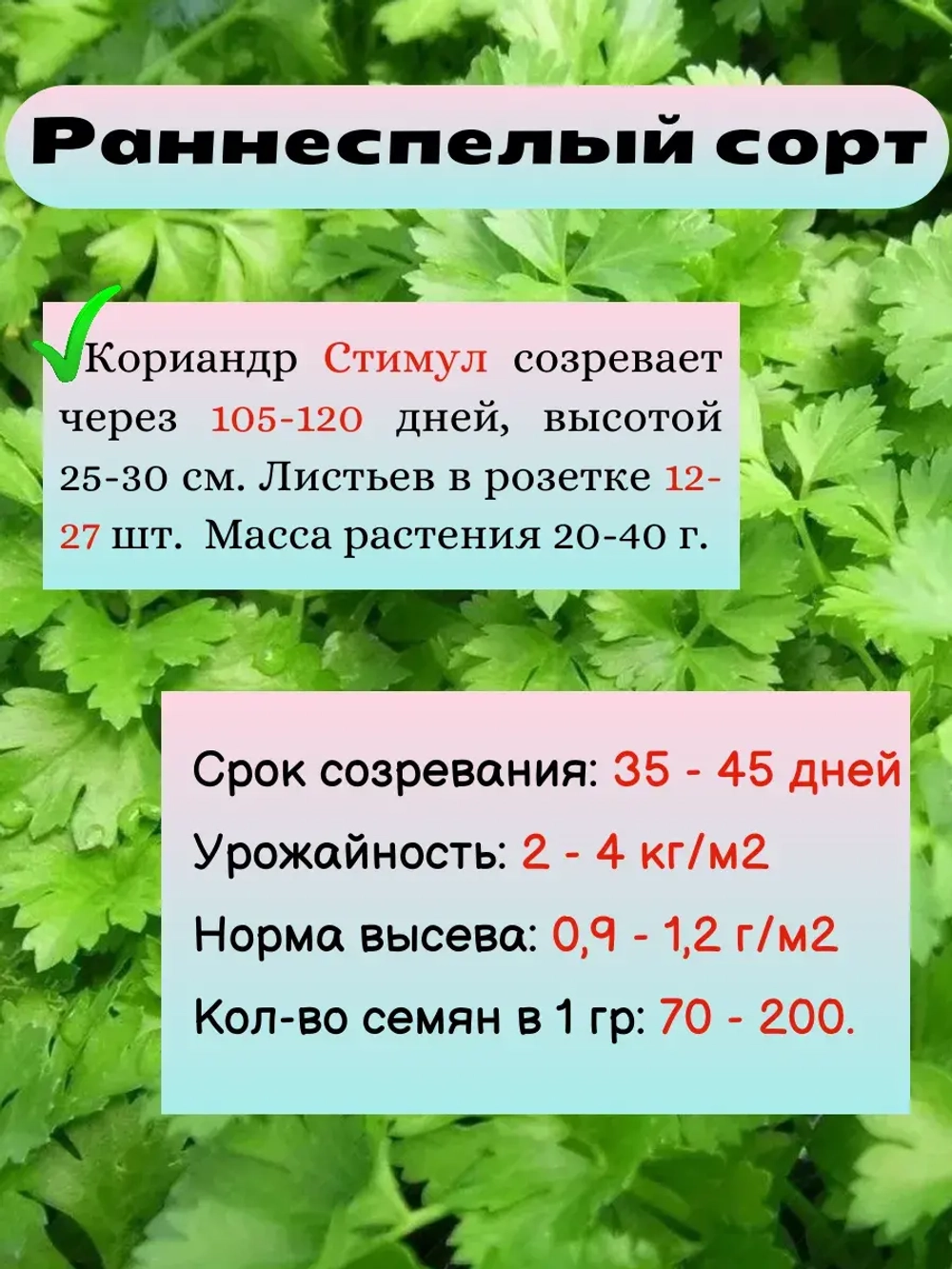 Семена Кориандр (кинза) 50 гр