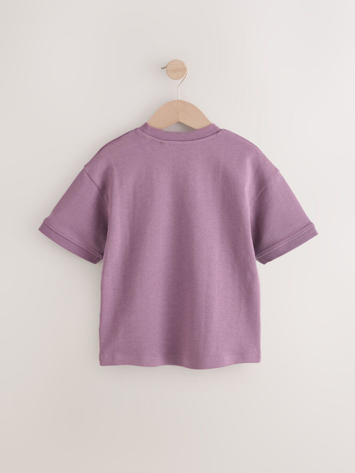 Футболка для мальчика Next E66-274, Светло-бордовый