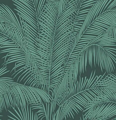Обои с пальмовыми листьями 17245