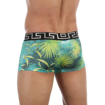 Мужские трусы боксеры изумрудные с принтом Versace