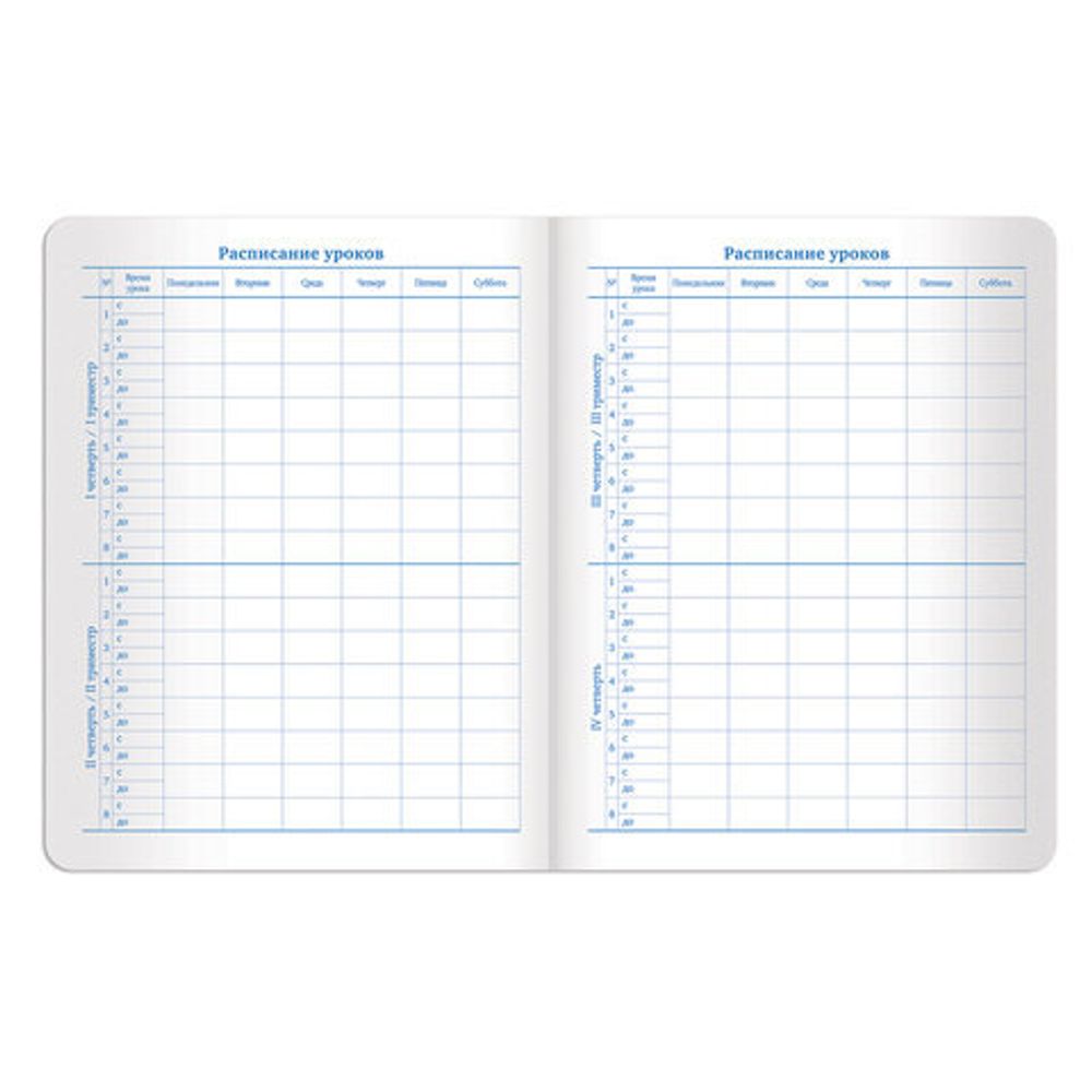 Дневник 1-11 класс 48 л., обложка кожзам (твердая), фольга, BRAUBERG "SPARKLE", серебристый, 105464