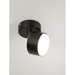 Светильник настенно-потолочный спот Rivoli Alesta 7079-701 1хGX53 15 Вт поворотный | Rivoli