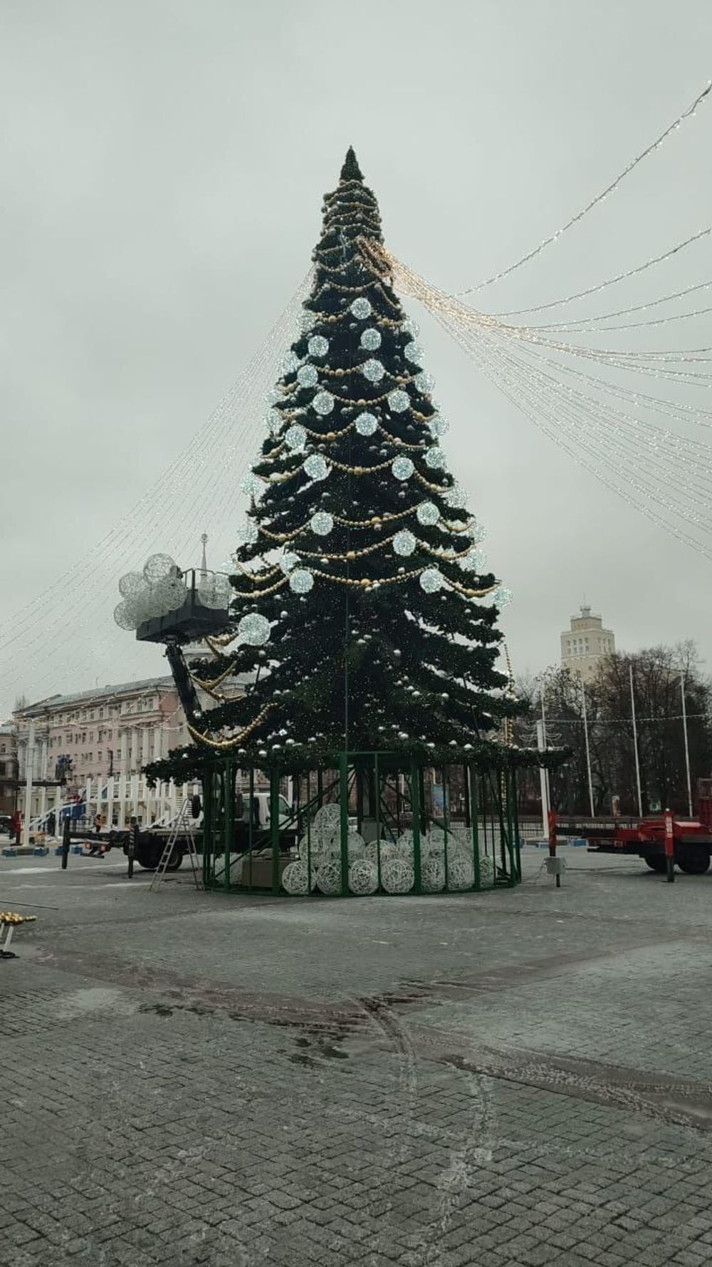 Светодинамическая елка ствольная - встроенная гирлянда: Холодный свет - "Таежная" от 11 до 21 м