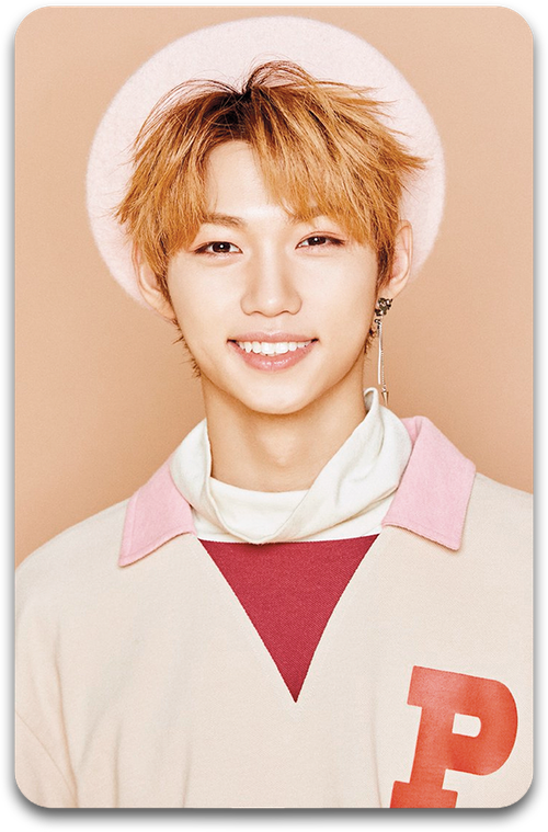 Карта / STRAY KIDS #3041