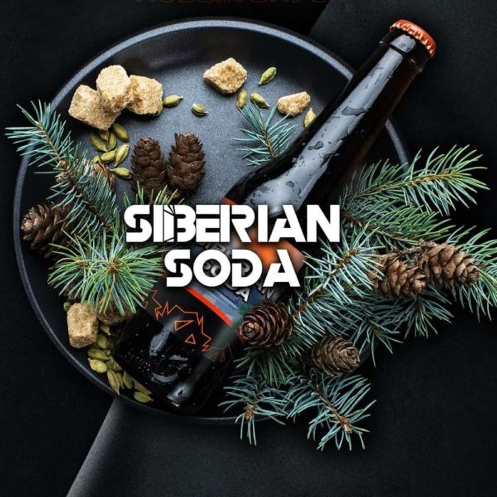 BlackBurn Siberian Soda  (Лимонад байкал) 25г