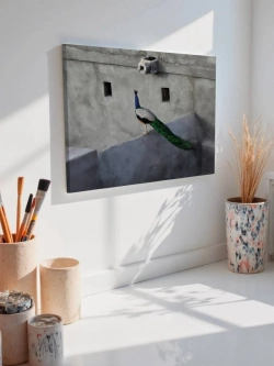 Картина на стену 40 X 50 Павлин