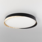 Потолочный светодиодный светильник Citilux BONNY CL754451G