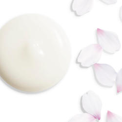 Shiseido White Lucent Illuminating Micro-Spot Serum - осветляющая корректирующая сыворотка против обесцвечивания /   30  ml  / GTIN 768614160434
