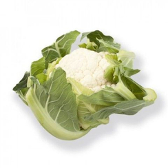 Церси F1 семена капусты цветной (Rijk Zwaan / Райк Цваан)