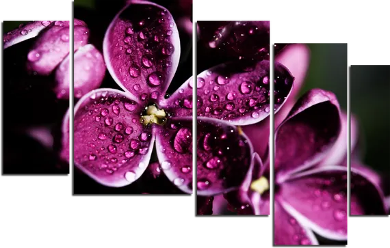 Модульная картина "Капля росы"