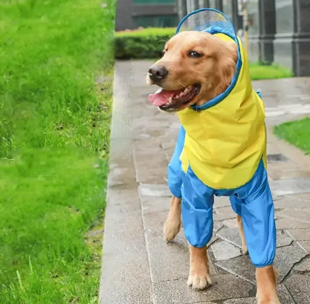 Дождевик для крупных пород собак «KOMFORT»,, цвет жёлто - голубой, р 6XL