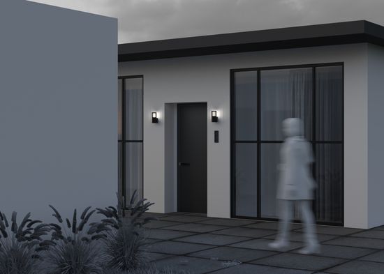 Настенный светильник (бра) Outdoor O492WL-01GF