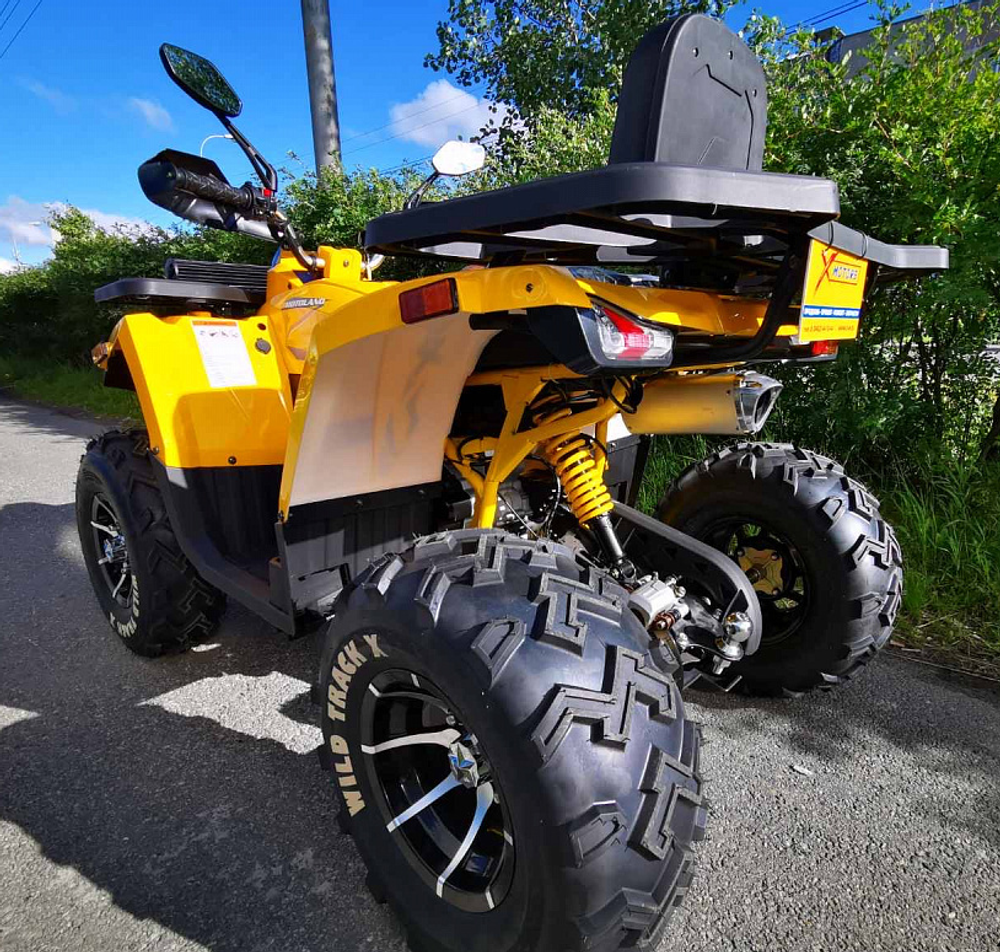 Квадроцикл MOTOLAND (МОТОЛЕНД) 200 WILD TRACK X PRO-SPORT (баланс.вал)