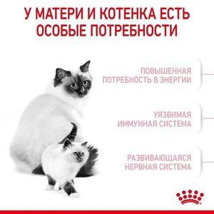 Уценка! Срок до 04.2024/ Корм для котят и беременных кошек, Royal Canin Mother&Babycat