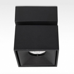 Спот Citilux CL558021N