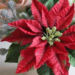 Вайнер силиконовый лист Пуансеттии ClayCraft by DECO™