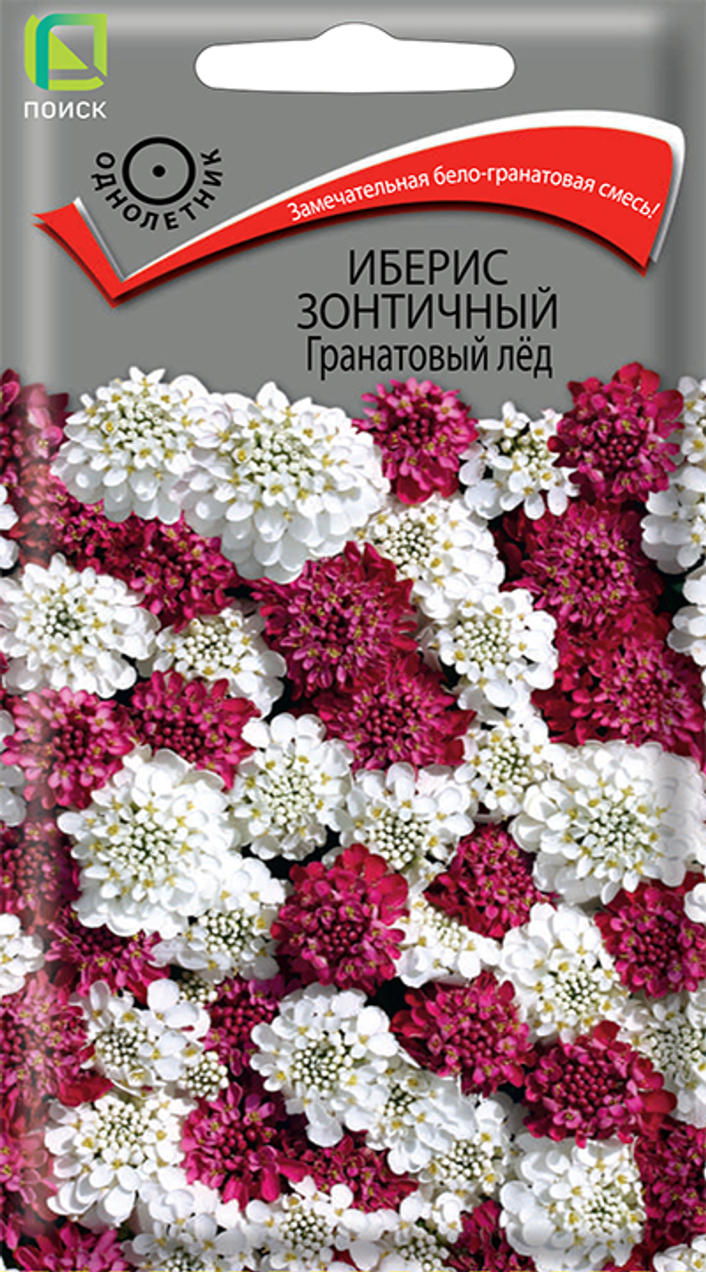Иберис зонтичный Гранатовый лёд