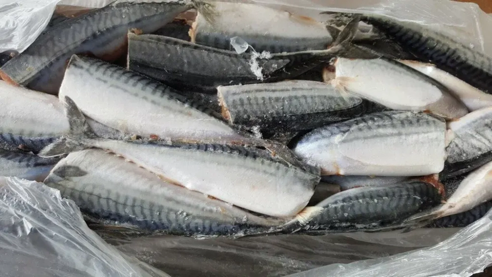 Скумбрия с/м б/г 300+ "Лира" 1/30кг (Август 2025)