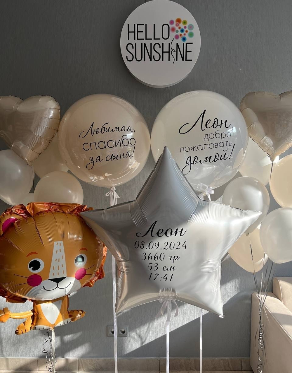 Набор шаров на выписку Львенок №83