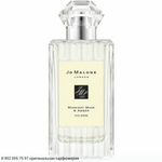 Midnight Musk & Amber