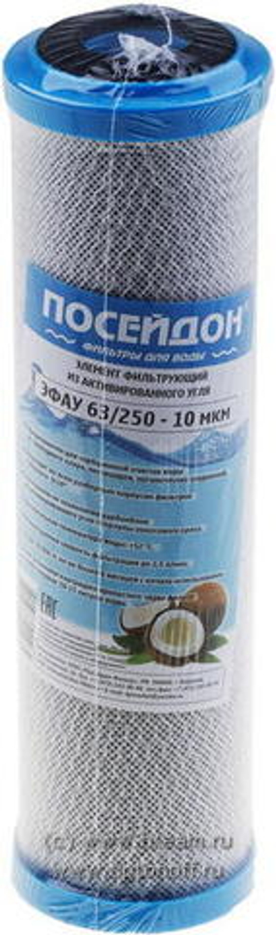 Картридж Посейдон ЭФАУ 63/250-10 (уголь) SL10